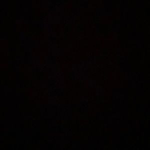 Meet your Posher, Kayden